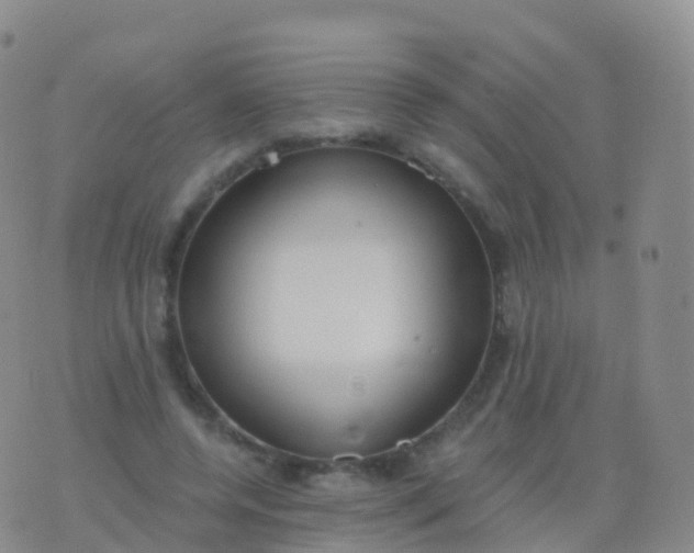 X0000076420544200610202222