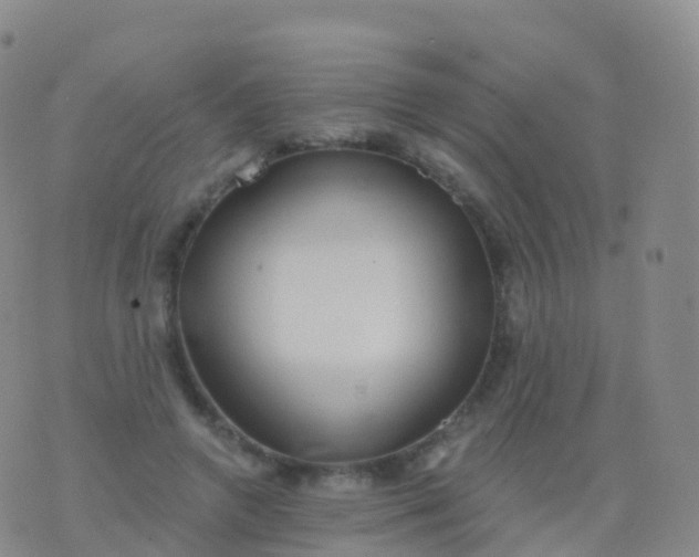 X0000076420546200610202222