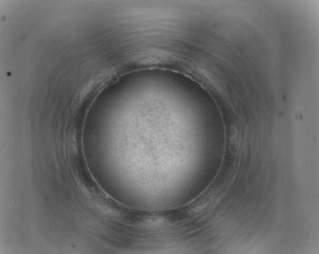 X0000076420547200610202222