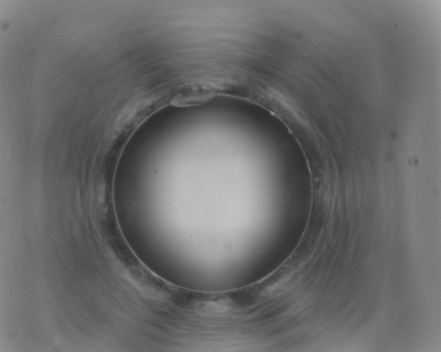 X0000076420548200610202222