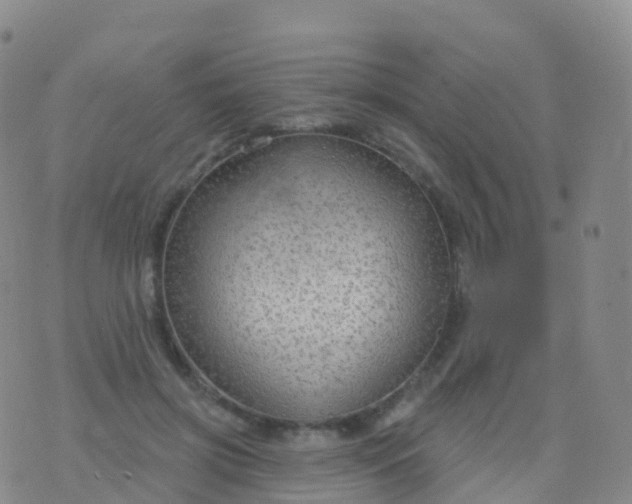 X0000076420549200610202222