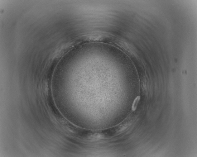 X0000076420551200610202222