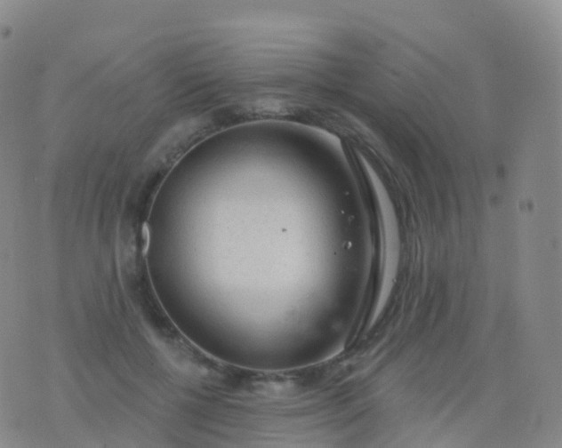 X0000076420552200610202222