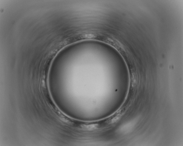 X0000076420553200610202222