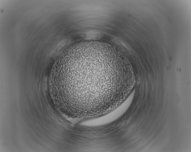 X0000076420554200610202223