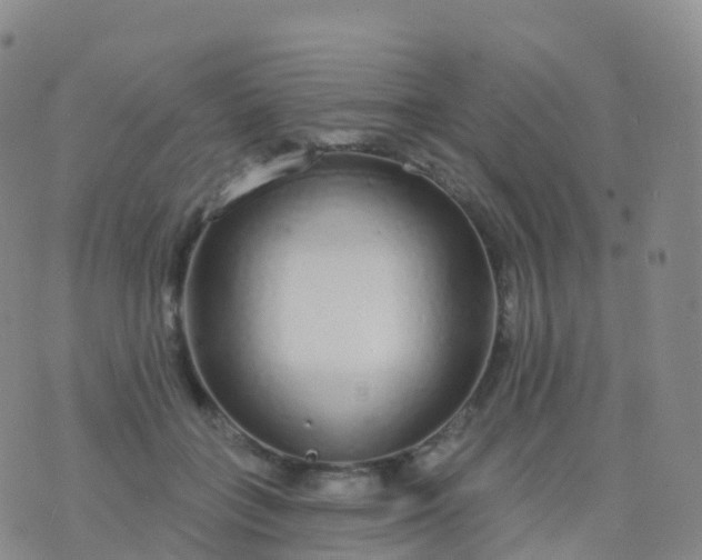 X0000076420555200610202223