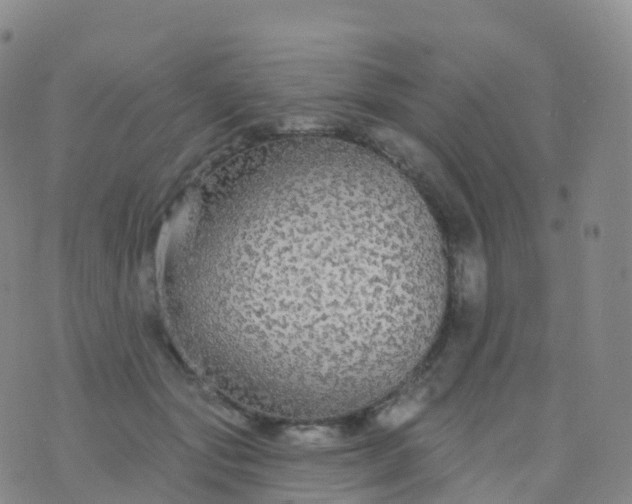 X0000076420557200610202223