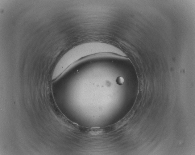 X0000076420560200610202223