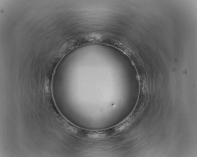 X0000076420561200610202223