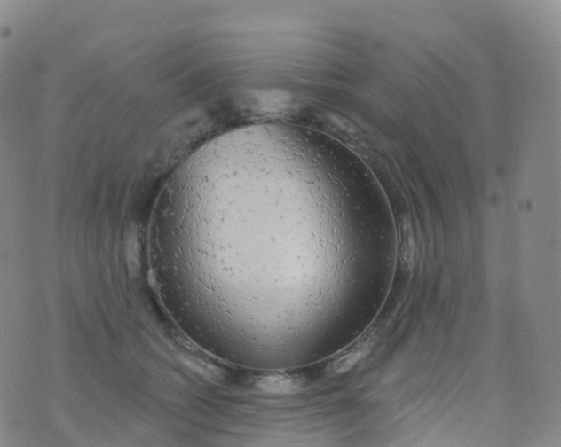 X0000076420562200610202223