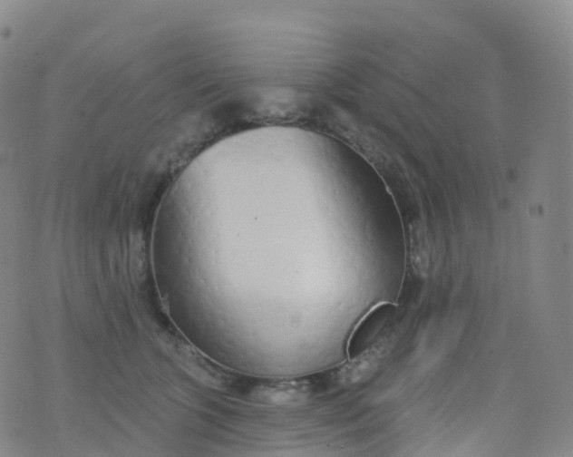 X0000076420563200610202223