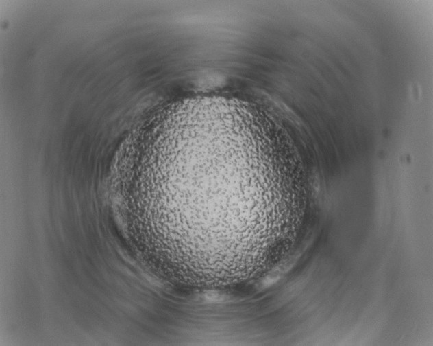 X0000076420565200610202223