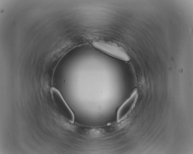 X0000076420566200610202223