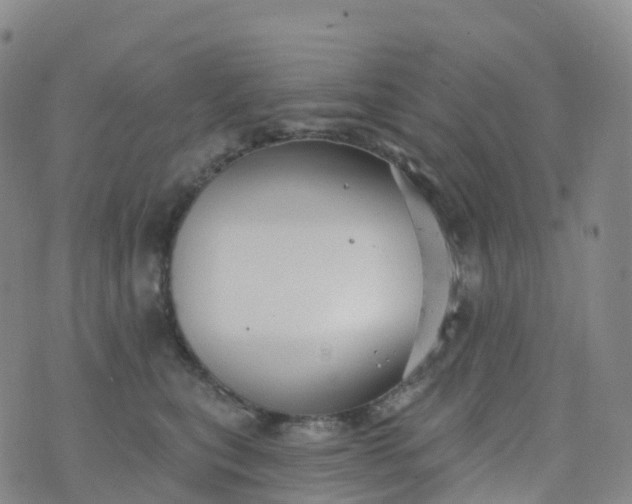 X0000076420567200610202223