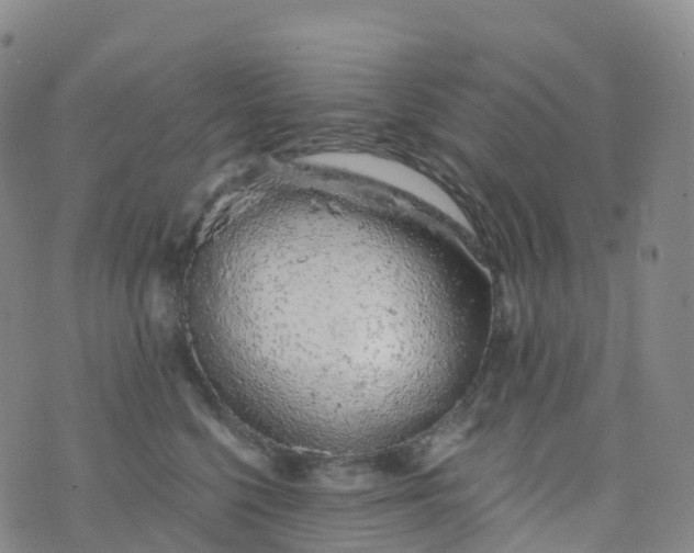 X0000076420568200610202223