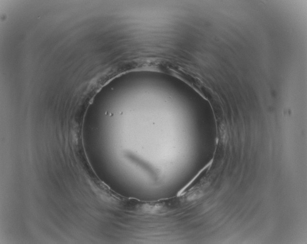 X0000076420570200610202223