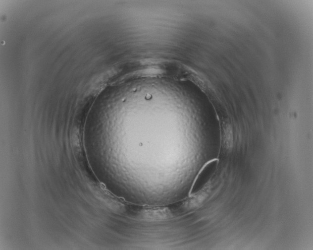 X0000076420571200610202223