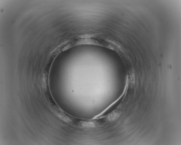 X0000076420572200610202223