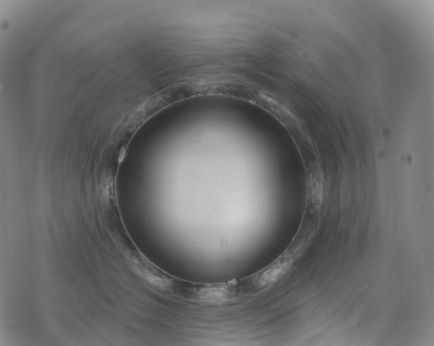 X0000076420574200610202223