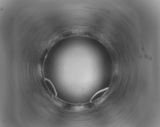 X0000076420575200610202223