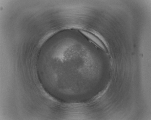 X0000076420577200610202222