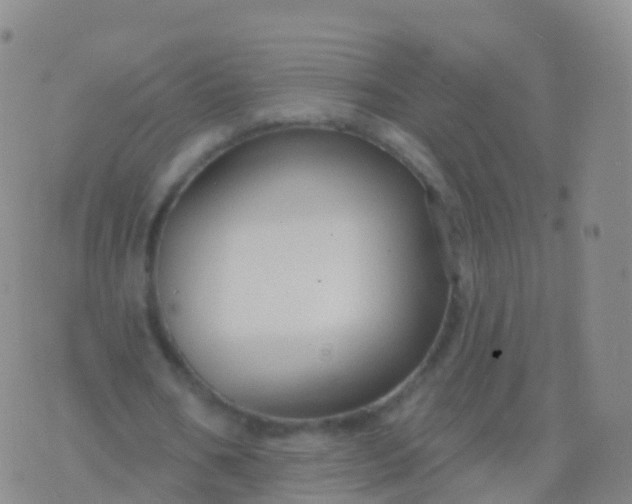 X0000076420578200610202222