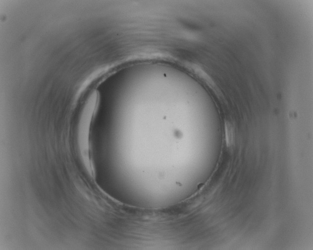 X0000076420579200610202222