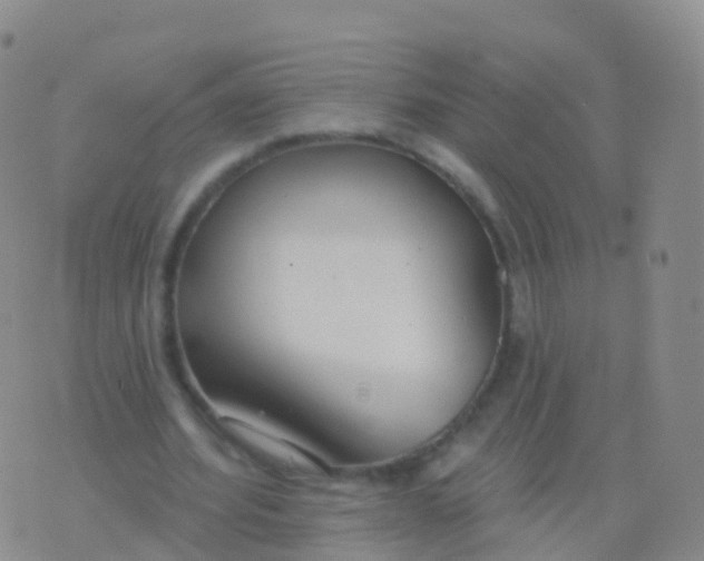 X0000076420580200610202222