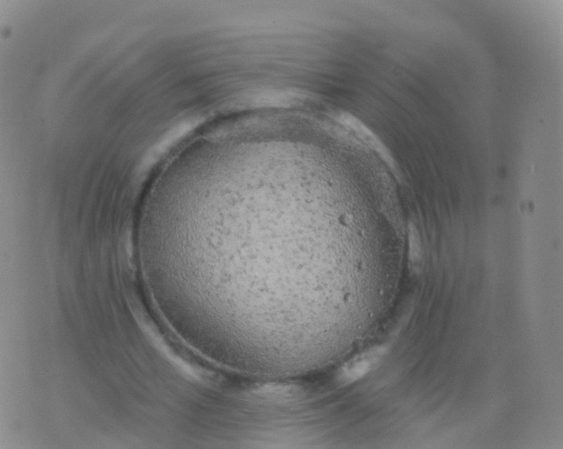 X0000076420581200610202222