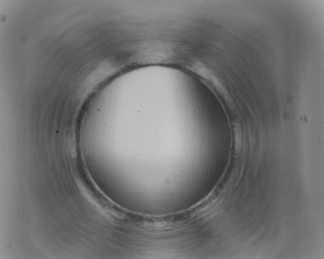 X0000076420582200610202222