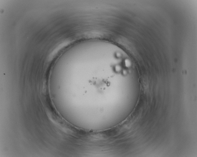 X0000076420583200610202222