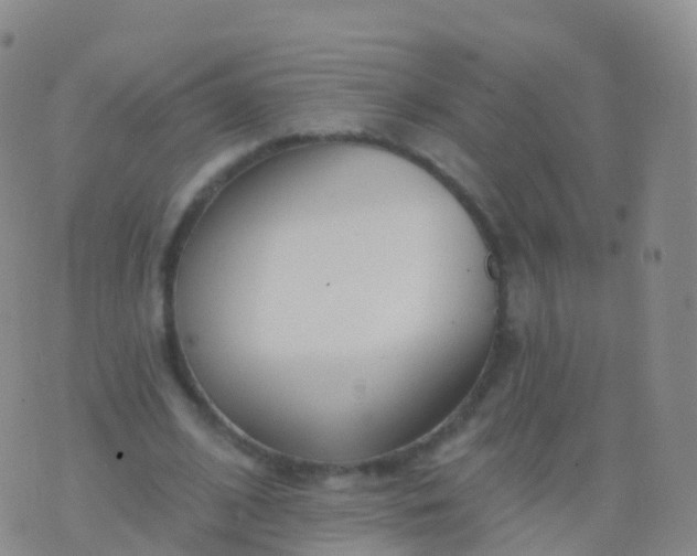 X0000076420584200610202222