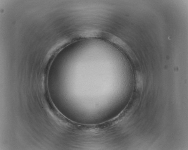 X0000076420586200610202222