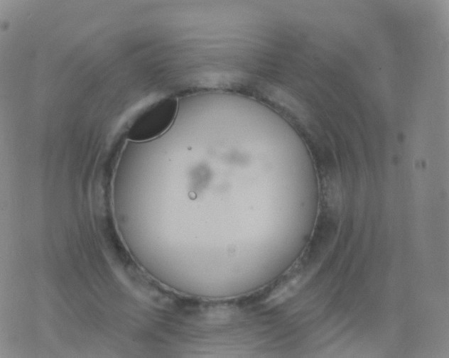 X0000076420587200610202222