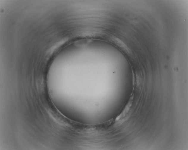 X0000076420588200610202222