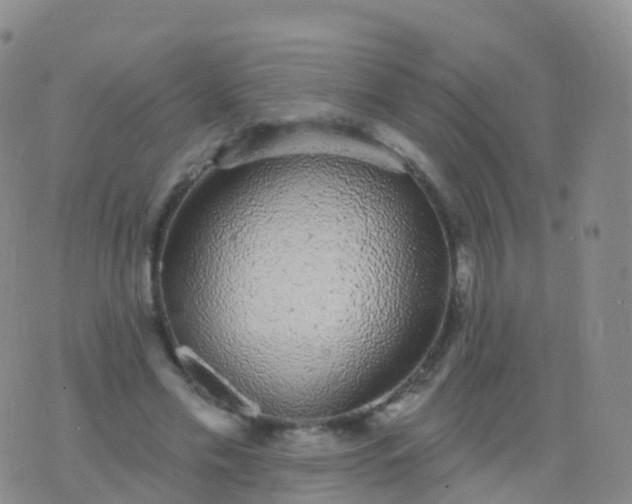 X0000076420589200610202222