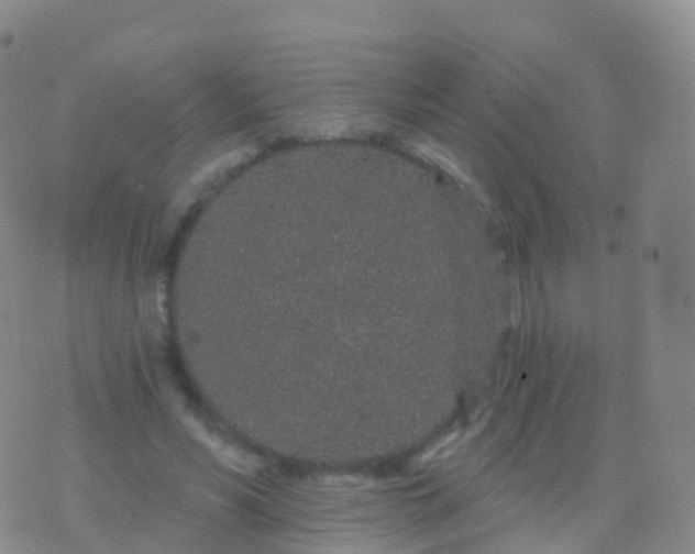 X0000076420590200610202222