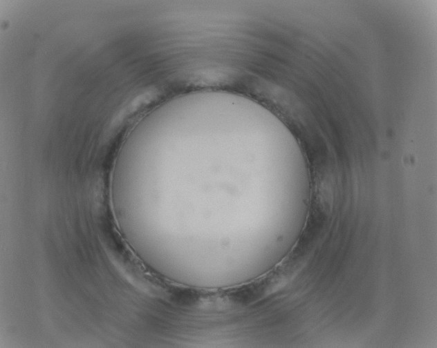 X0000076420591200610202222