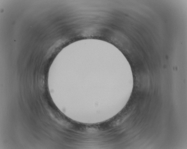 X0000076420592200610202222