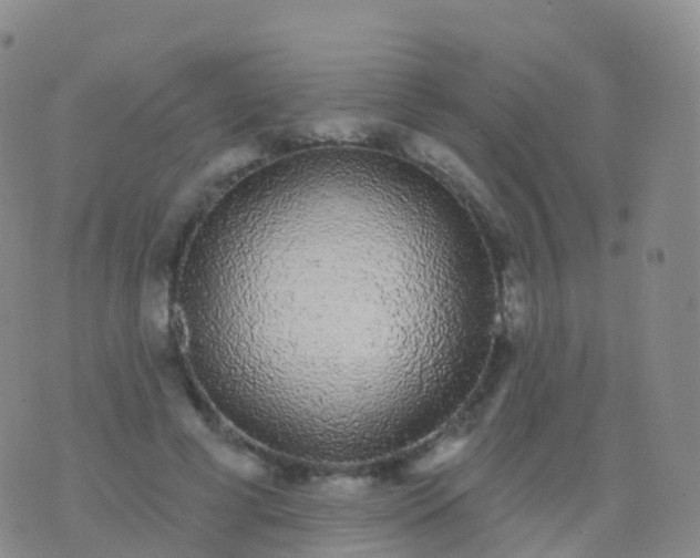 X0000076420593200610202222