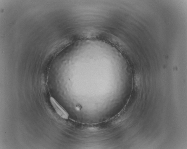 X0000076420594200610202222