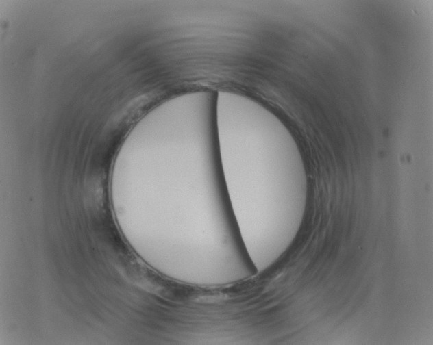 X0000076420595200610202222