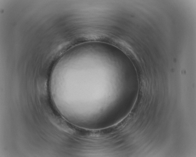 X0000076420596200610202222