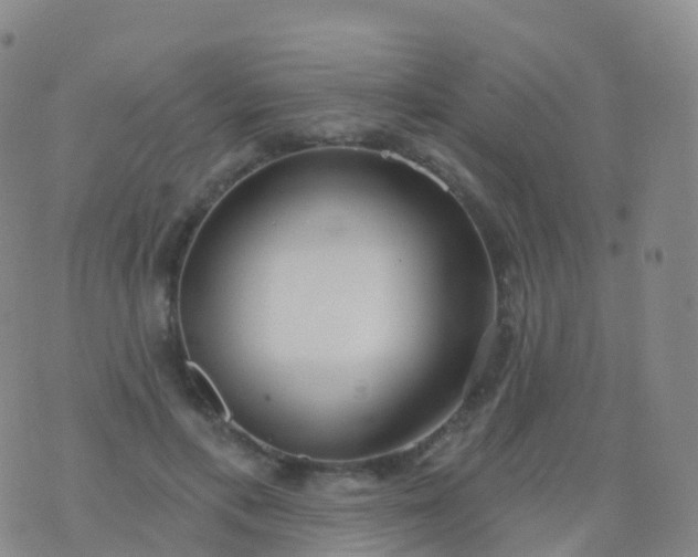 X0000076420597200610202222