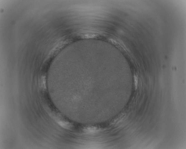 X0000076420598200610202222