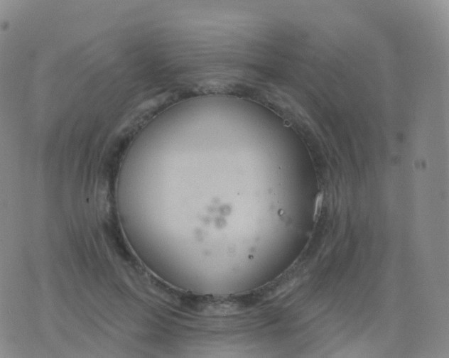 X0000076420599200610202222