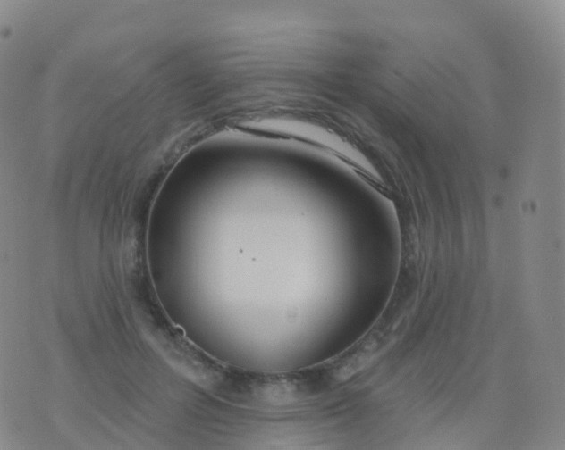 X0000076420600200610202222