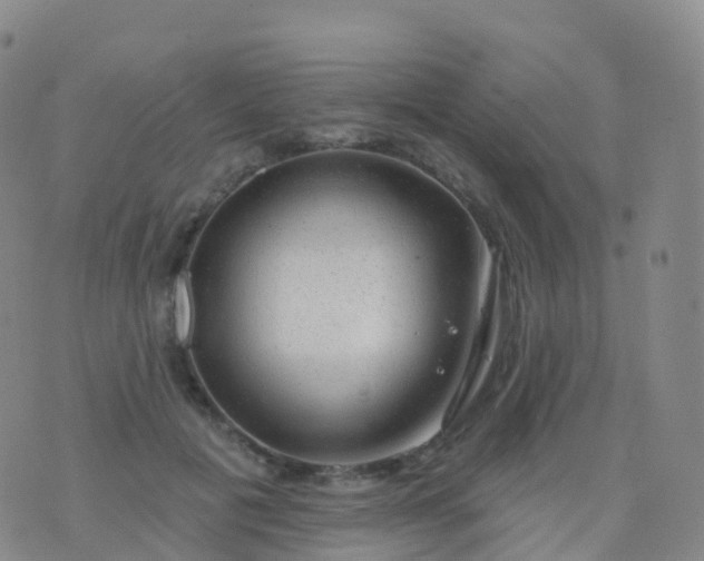 X0000076420601200610202222