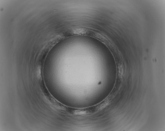 X0000076420602200610202222