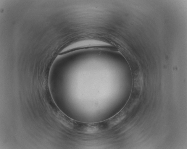 X0000076420604200610202222